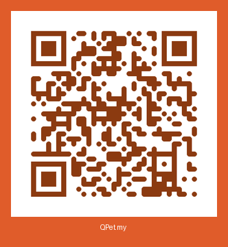 QR-код карточки Шарик