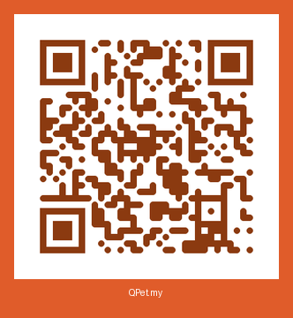 QR-код карточки Феликс
